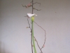 ikebana