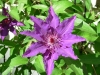 dscn0804